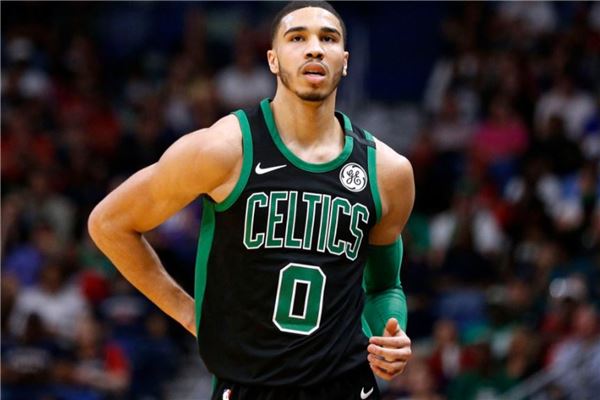 供了参考 供了参考